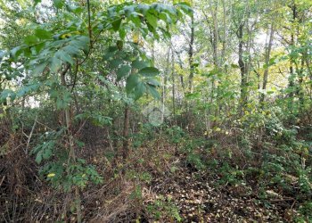 Building land Via Santhià, Gattinara - photo 4
