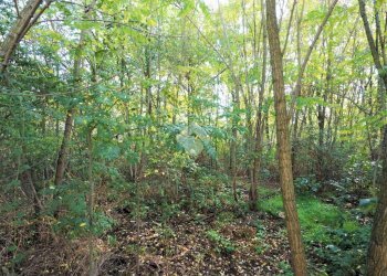 Building land Via Santhià, Gattinara - photo 18