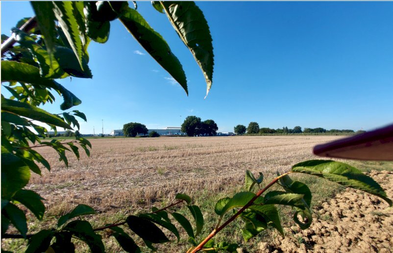Agricultural land via Pasquala, Imola - photo 1