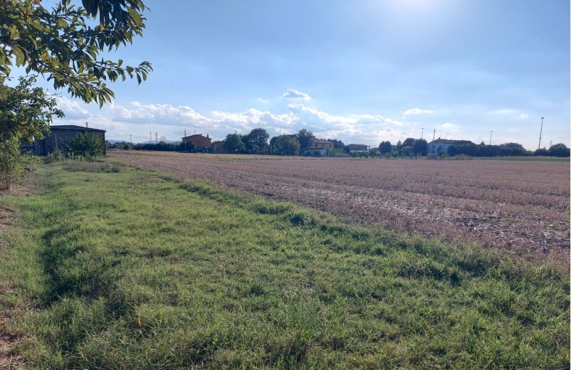 Agricultural land via Pasquala, Imola - photo 3