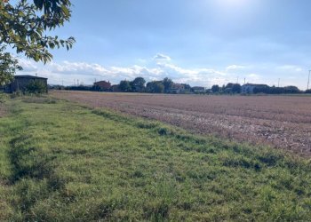 Terreno agricolo via Pasquala, Imola - foto 3