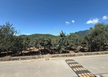 Foto 9 - Terreno agricolo via Pietro Ascolese, Montoro - foto 9