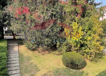 Foto 10 - Quadrilocale VIA MONTE BIANCO, Saronno - foto 10