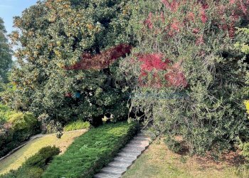 Foto 54 - Quadrilocale VIA MONTE BIANCO, Saronno - foto 54