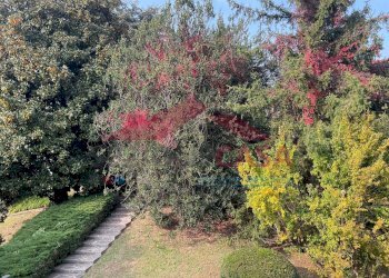 Foto 55 - Quadrilocale VIA MONTE BIANCO, Saronno - foto 55