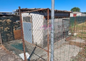 Foto 38 - Casa semi indipendente Serravalle a Po - foto 38