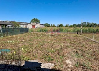 Foto 39 - Casa semi indipendente Serravalle a Po - foto 39