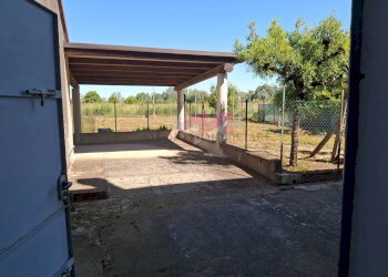 Foto 41 - Casa semi indipendente Serravalle a Po - foto 41