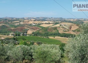 Foto 1 - Terreno agricolo Via Ferretti, Spinetoli - foto 1