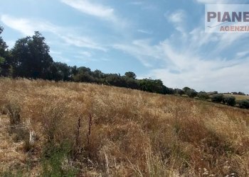 Foto 2 - Terreno agricolo Via Ferretti, Spinetoli - foto 2