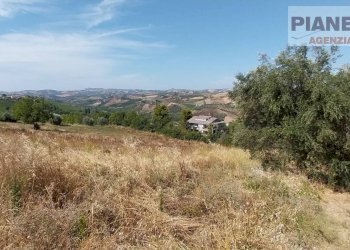 Foto 5 - Terreno agricolo Via Ferretti, Spinetoli - foto 5