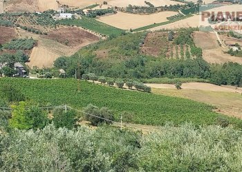 Foto 8 - Terreno agricolo Via Ferretti, Spinetoli - foto 8