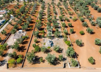 Foto 10 - Baita Contrada Mogavero
 
1, Francavilla Fontana - foto 10