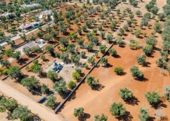 Foto 11 - Baita Contrada Mogavero
 
1, Francavilla Fontana - foto 11