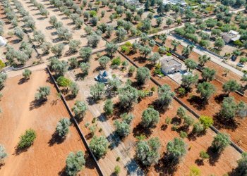 Foto 14 - Baita Contrada Mogavero
 
1, Francavilla Fontana - foto 14