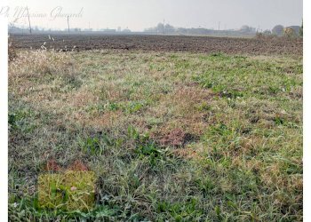 Foto 3 - Terreno agricolo Ferrara - foto 2