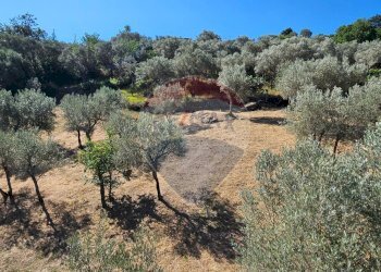 ULIVETO - Casa indipendente Contrada Fere
 
snc, Alcara Li Fusi - foto 2