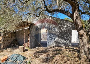 DEPENDANCE - Casa indipendente Contrada Fere
 
snc, Alcara Li Fusi - foto 23