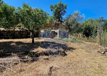 GIARDINO - Casa indipendente Contrada Fere
 
snc, Alcara Li Fusi - foto 29