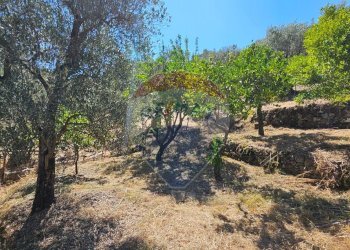 GIARDINO - Casa indipendente Contrada Fere
 
snc, Alcara Li Fusi - foto 31