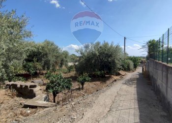 Giardino - Terreno agricolo Contrada San Lazzaro
snc, Paterno - foto 6