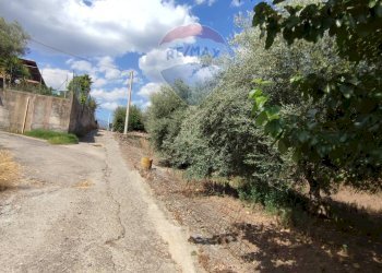 Giardino - Terreno agricolo Contrada San Lazzaro
snc, Paterno - foto 19