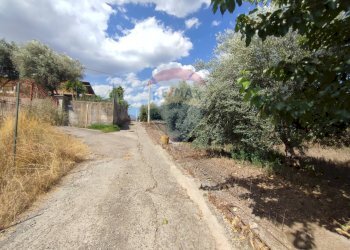 Giardino - Terreno agricolo Contrada San Lazzaro
snc, Paterno - foto 20