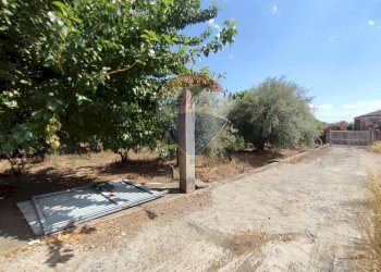 Giardino - Terreno agricolo Contrada San Lazzaro
snc, Paterno - foto 21