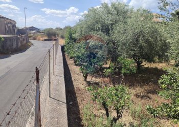 Giardino - Terreno agricolo Contrada San Lazzaro
snc, Paterno - foto 28