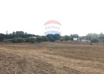 Non correlato - Terreno edificabile Via Monsignor Sturzo
21, Caltagirone - foto 2