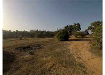 Giardino - Terreno edificabile Via Monsignor Sturzo
21, Caltagirone - foto 6