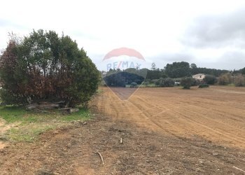 Giardino - Terreno edificabile Via Monsignor Sturzo
21, Caltagirone - foto 9