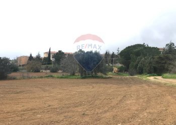 Giardino - Terreno edificabile Via Monsignor Sturzo
21, Caltagirone - foto 11