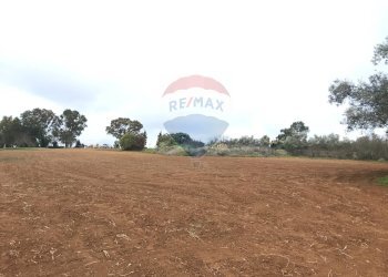 Giardino - Terreno edificabile Via Monsignor Sturzo
21, Caltagirone - foto 12