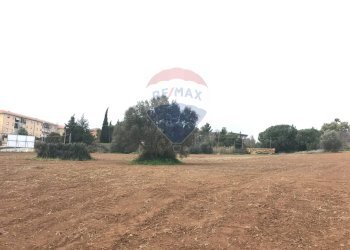 Giardino - Terreno edificabile Via Monsignor Sturzo
21, Caltagirone - foto 14
