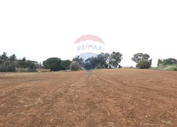 Giardino - Terreno edificabile Via Monsignor Sturzo
21, Caltagirone - foto 15