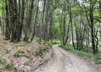 dintorni - Appartamento Via Minere
2/C, Montaldo di Mondovì - foto 16