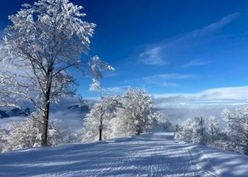 dintorni - Appartamento Via Minere
2/C, Montaldo di Mondovì - foto 19