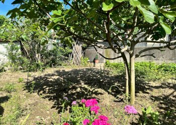 giardino - Four-room apartment via Cottolengo
 
39, Mondovì - photo 18
