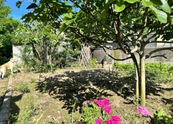 giardino - Four-room apartment via Cottolengo
 
39, Mondovì - photo 19