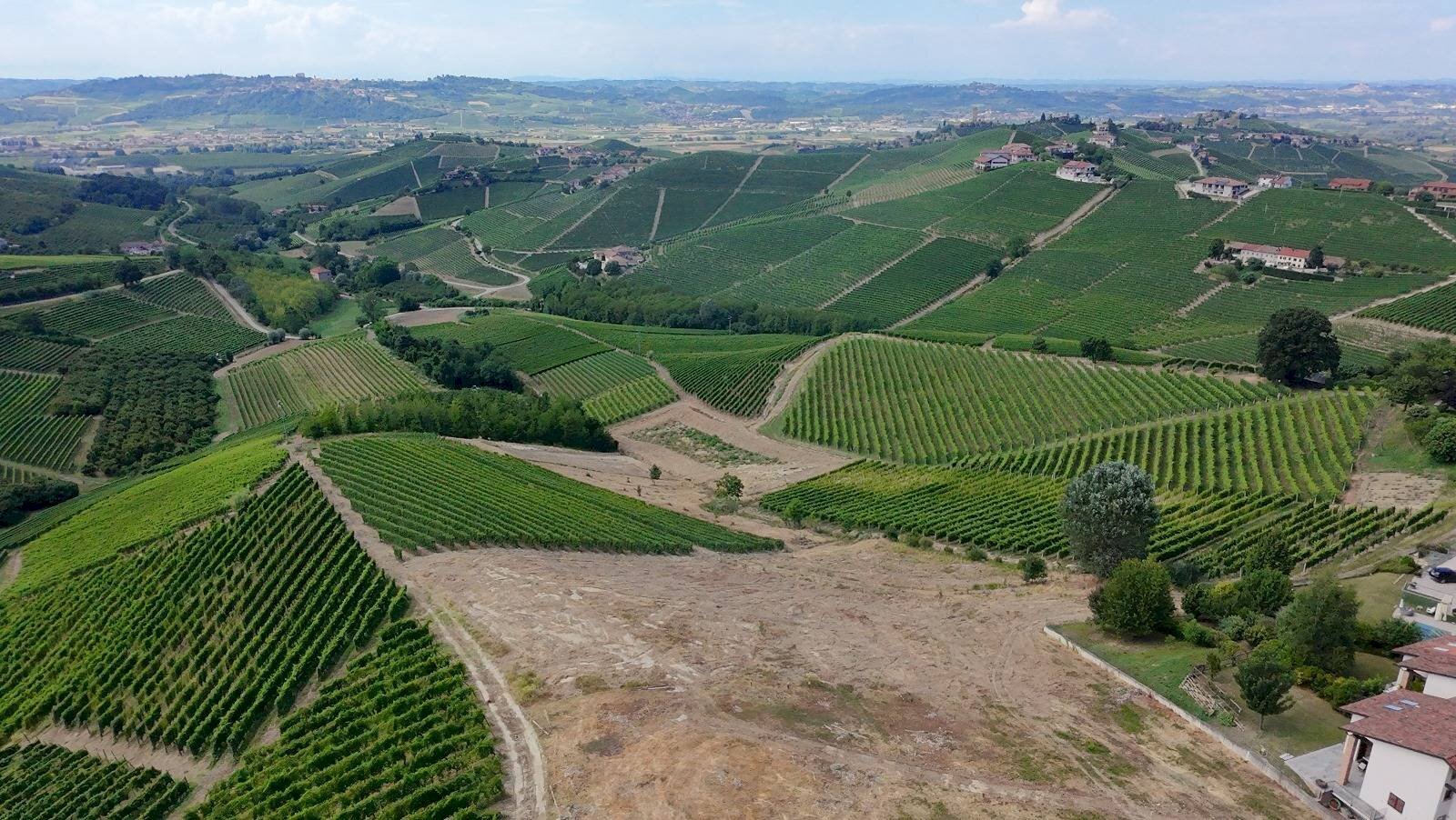 Foto 1 - Building land Località Trifolera, Barbaresco - photo 1