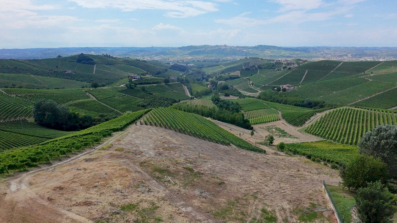 Foto 2 - Building land Località Trifolera, Barbaresco - photo 2