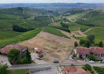 Foto 3 - Terreno edificabile Località Trifolera, Barbaresco - foto 3