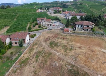 Foto 6 - Terreno edificabile Località Trifolera, Barbaresco - foto 6