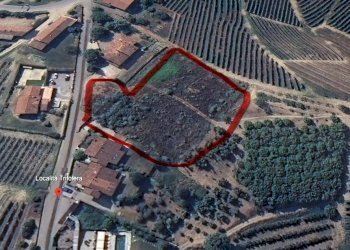 Foto 5 - Terreno edificabile Località Trifolera, Barbaresco - foto 5