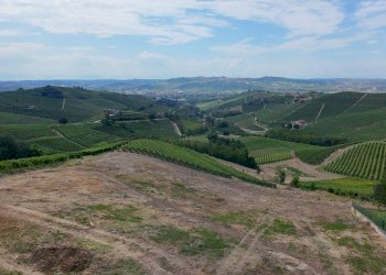 Foto 9 - Terreno edificabile Località Trifolera, Barbaresco - foto 9