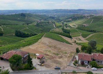 Foto 10 - Terreno edificabile Località Trifolera, Barbaresco - foto 10