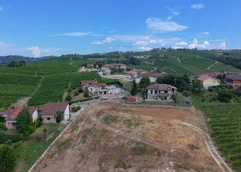 Foto 11 - Terreno edificabile Località Trifolera, Barbaresco - foto 11