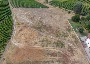 Foto 13 - Terreno edificabile Località Trifolera, Barbaresco - foto 13