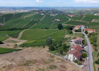 Foto 14 - Terreno edificabile Località Trifolera, Barbaresco - foto 14